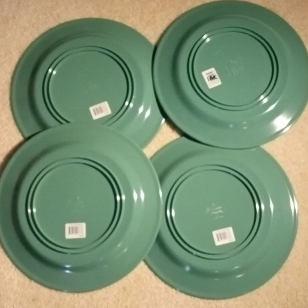 The Galleyware Company seafoam plates set of 4 NWT MISSING NON SLIP RING